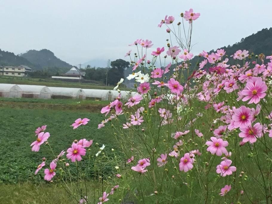 Spring