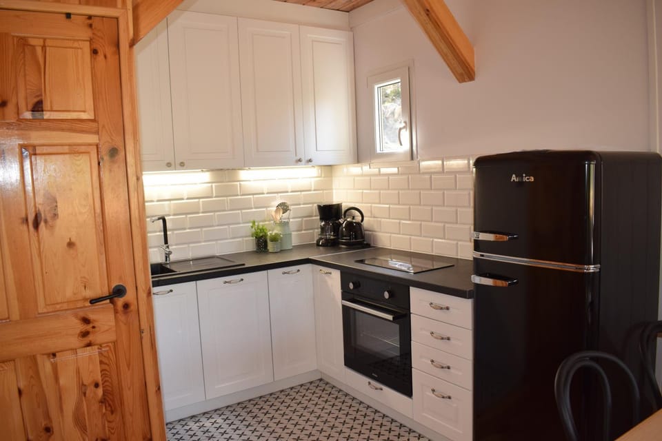 Kitchen or kitchenette, dishwasher, oven, stove