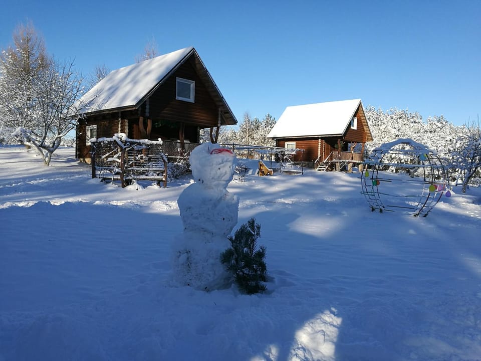 Likimo ratas Country House in Lithuania