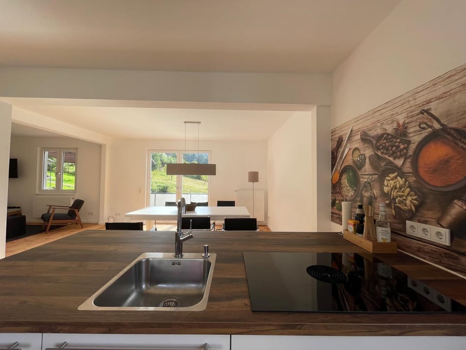 Kitchen or kitchenette, kitchen