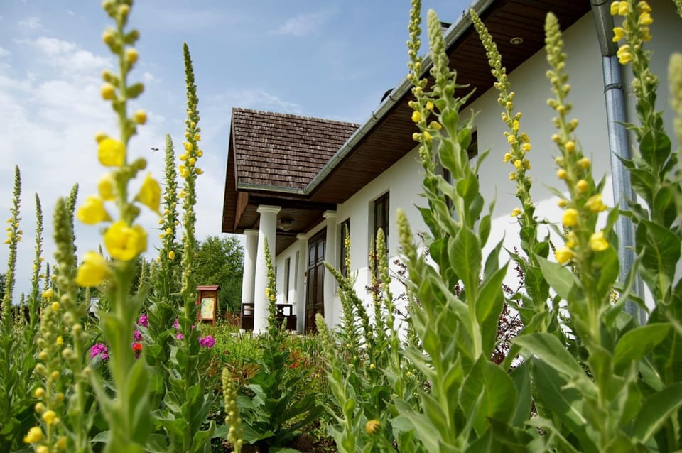 Property building, Facade/entrance, Garden