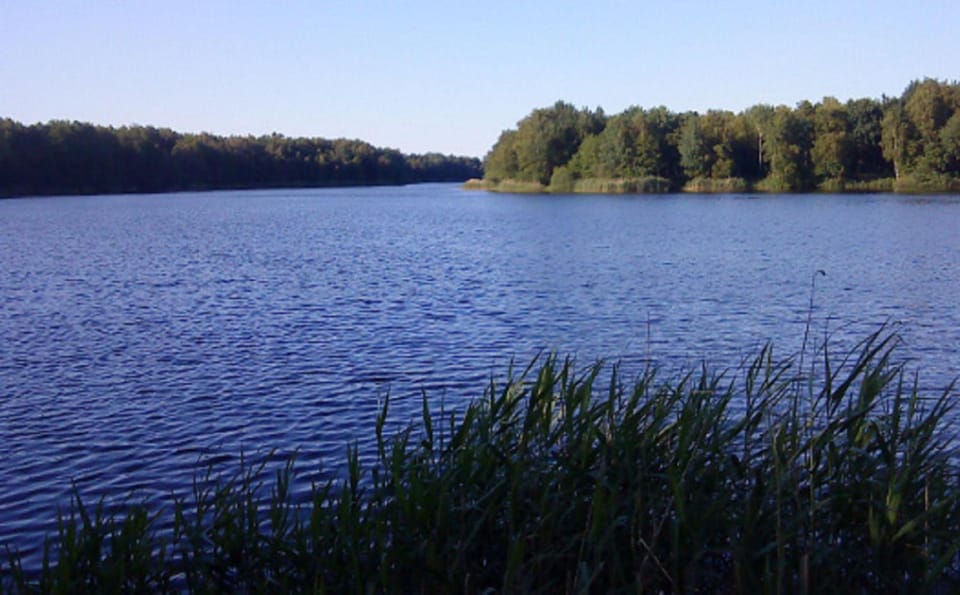 Natural landscape