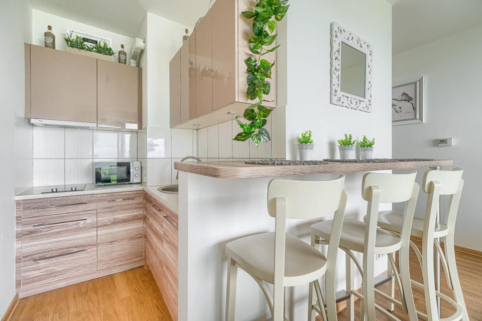 Kitchen or kitchenette, minibar, stove