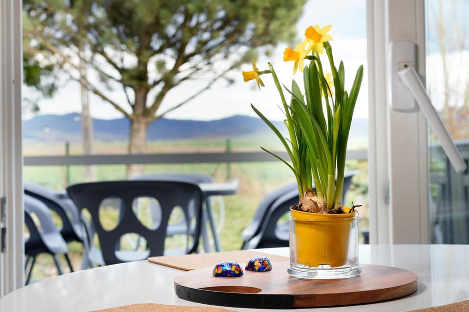 Patio, Spring, Day, Natural landscape, Garden, Dining area, Garden view