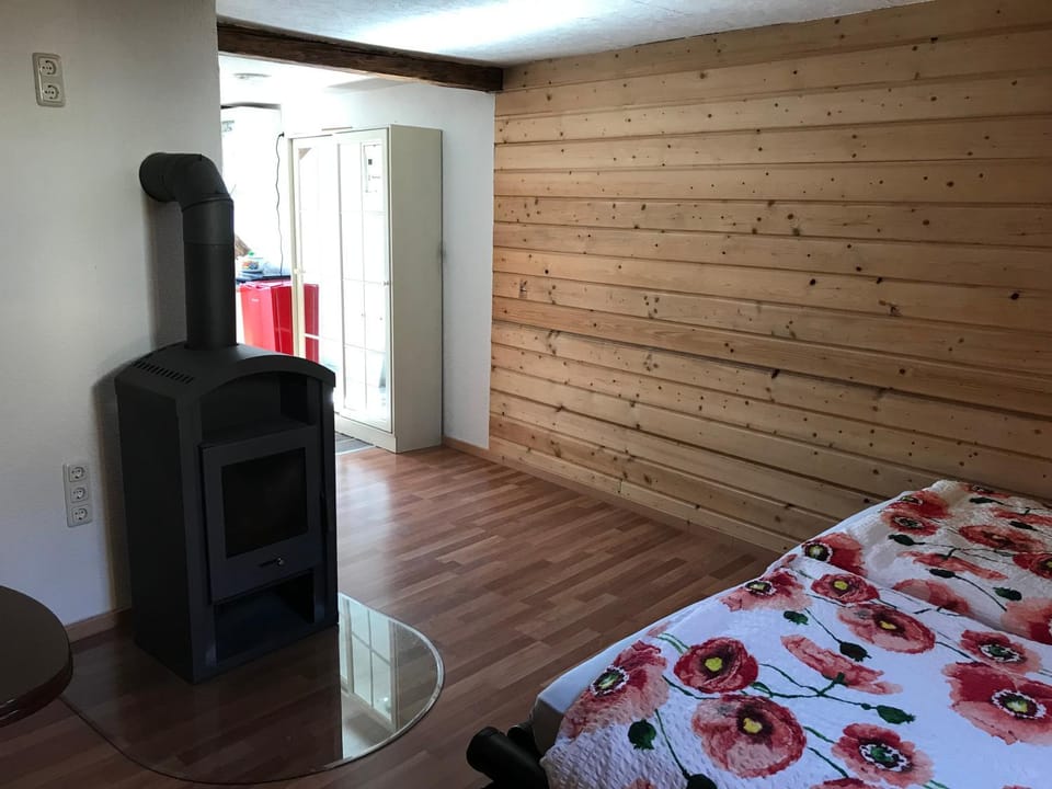 Photo of the whole room, Bedroom, fireplace