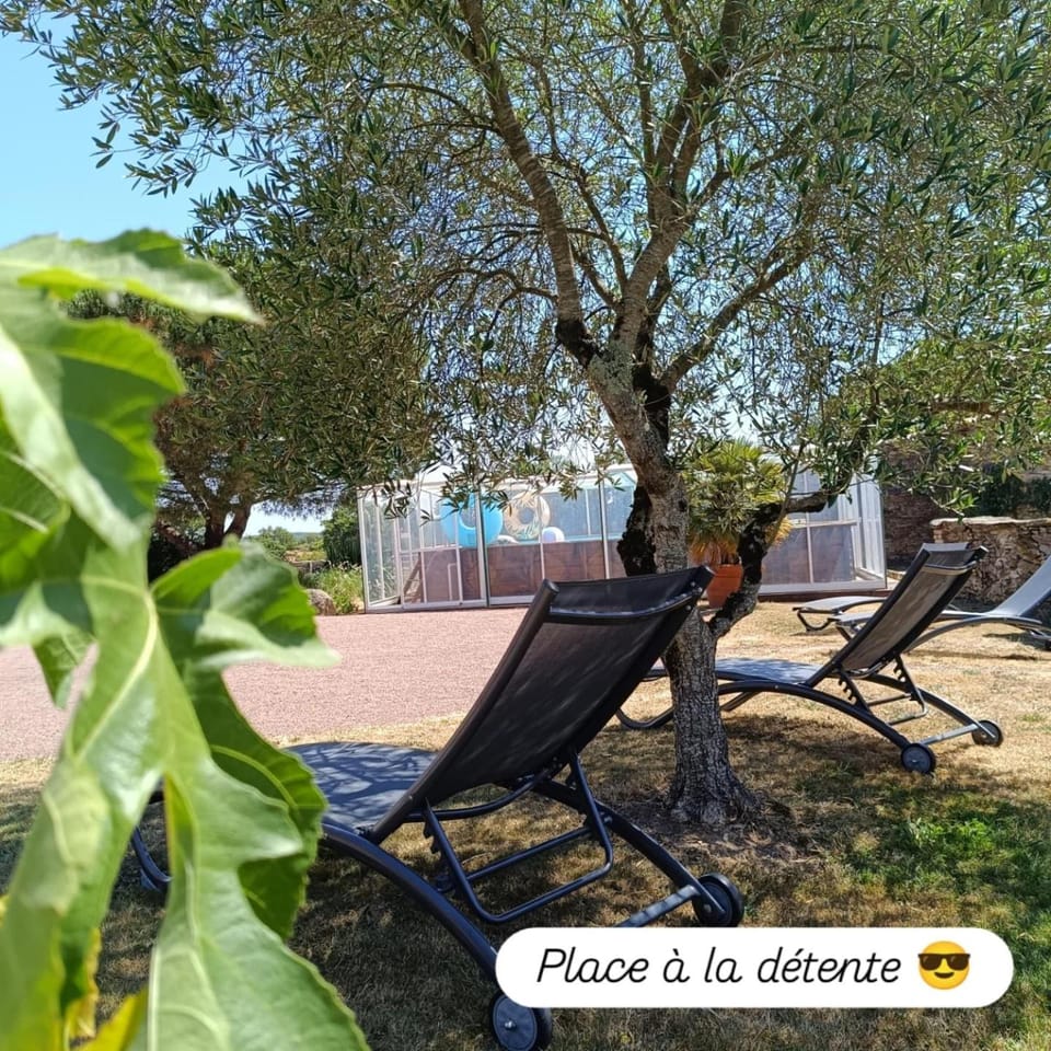 Spring, Day, Natural landscape, Garden, Garden view, group of guests, Inner courtyard view, sunbed