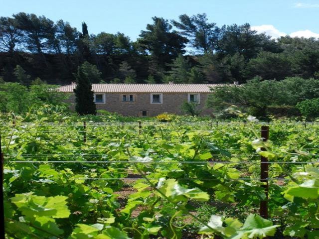 Domaine de "Creva-Tinas" Bed and Breakfast in Occitanie