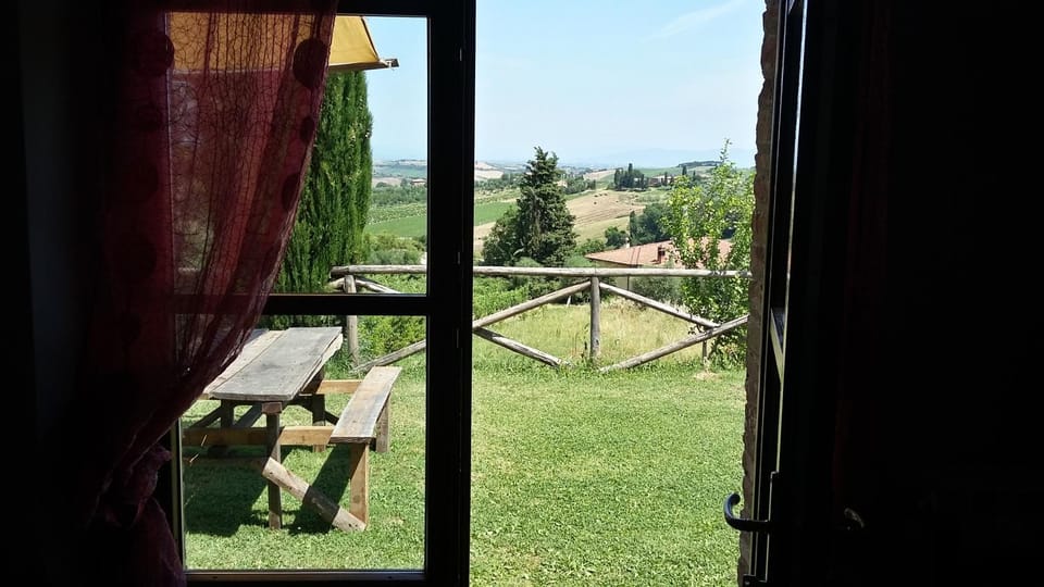 Photo of the whole room, Decorative detail, Garden view
