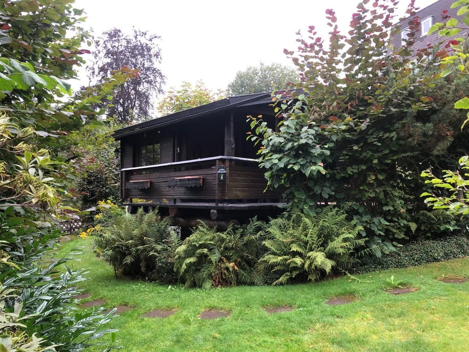 Property building, Garden, Garden view