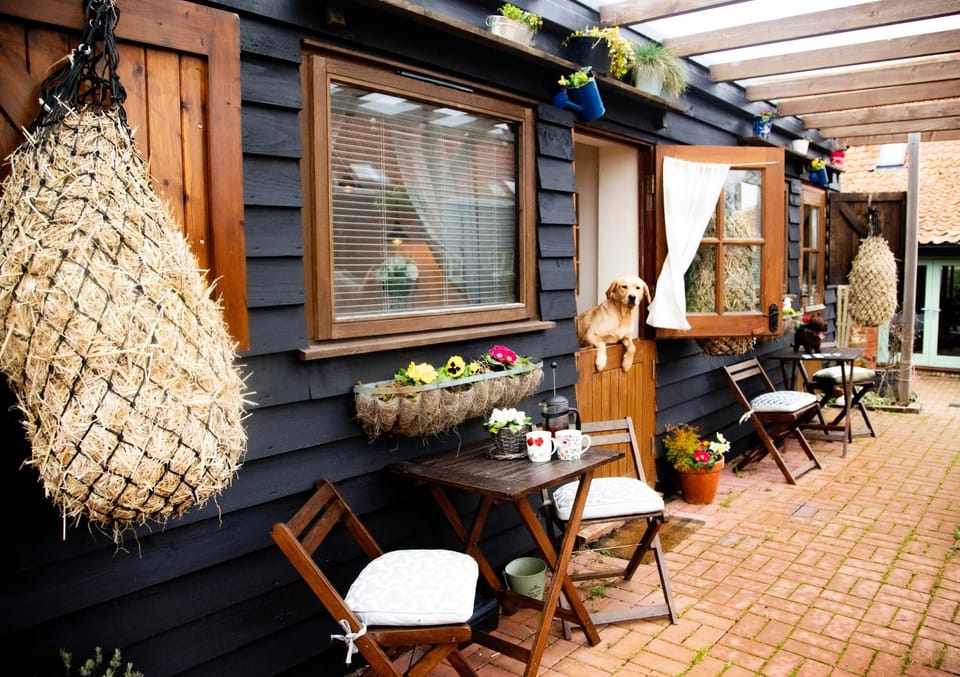 Property building, Pets