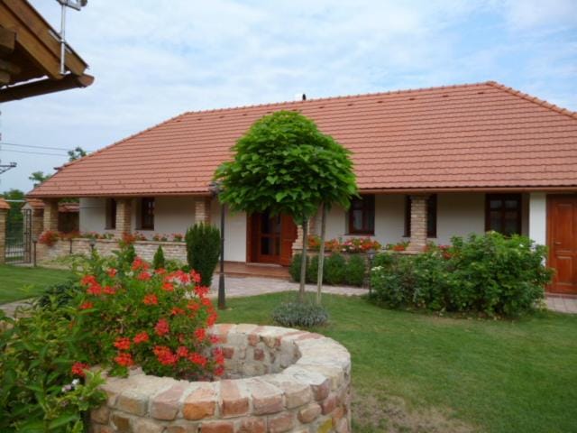 Vidra House in Hungary