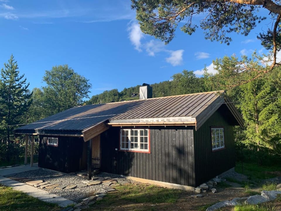 Property building, Day