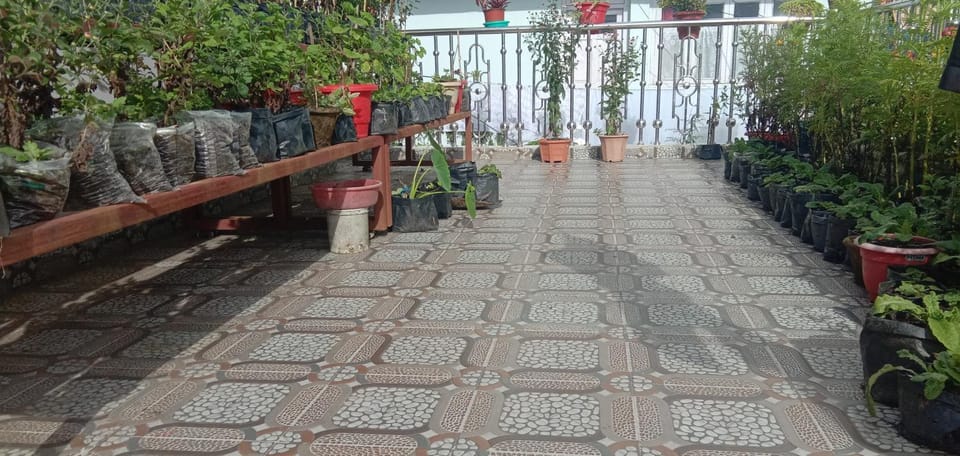 Balcony/Terrace