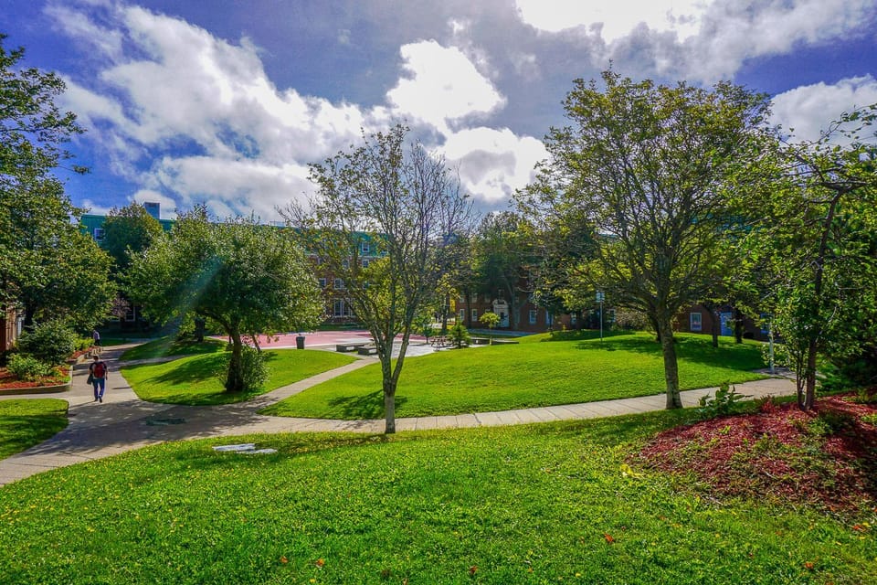 Day, Natural landscape, Summer, Garden, On site