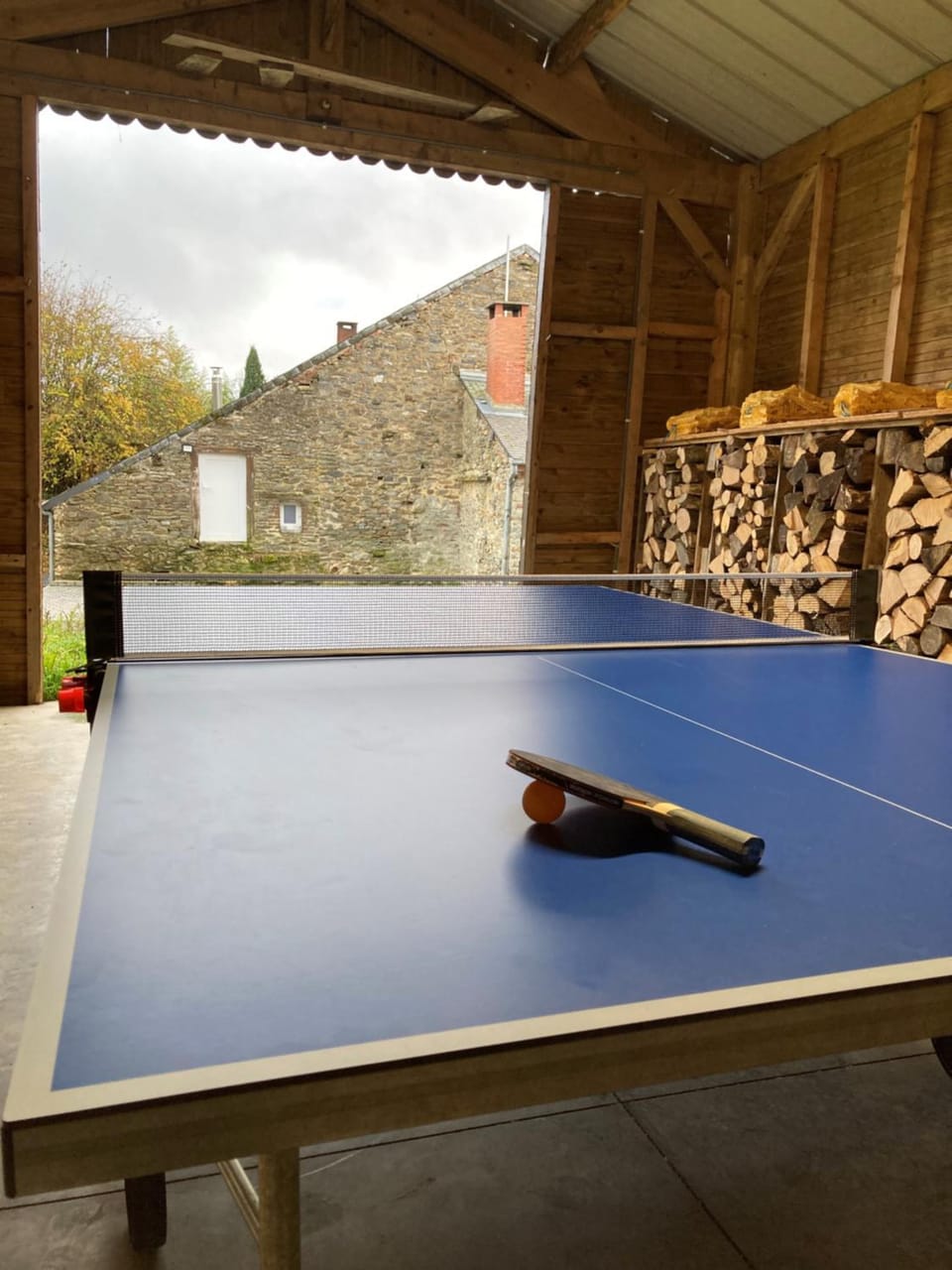 Table tennis