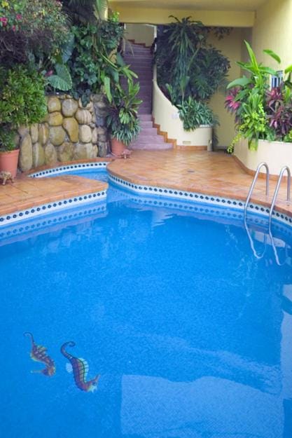 Swimming pool, Swimming pool