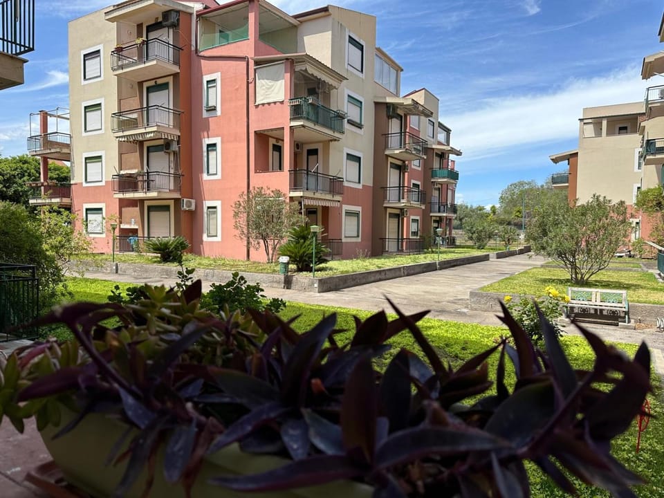 Property building, Garden view
