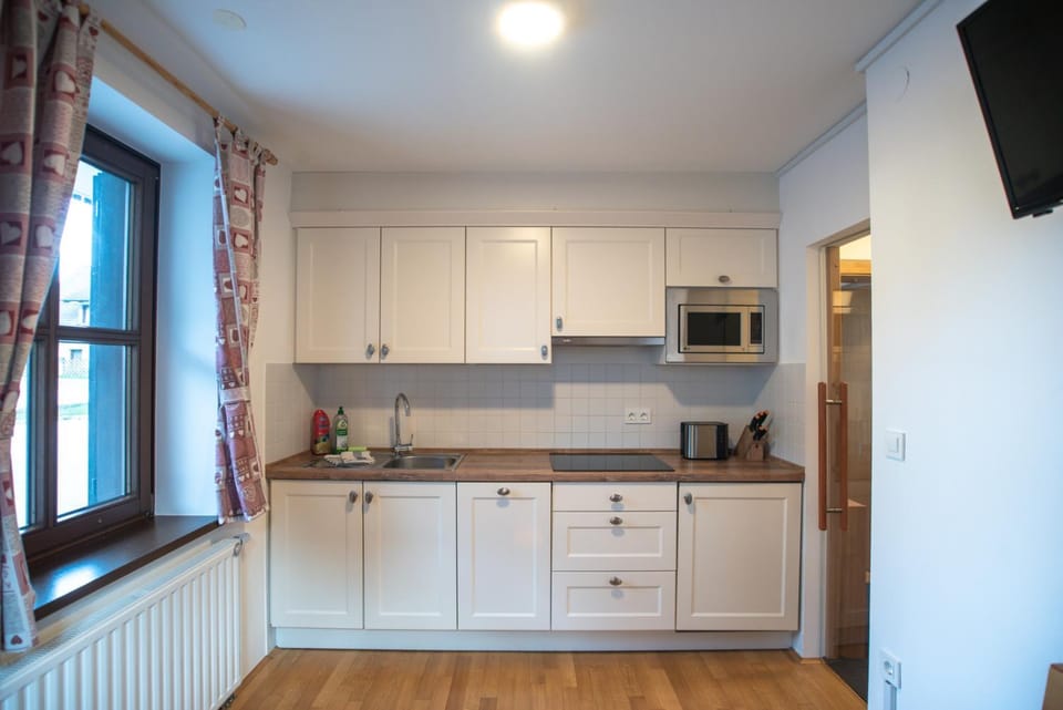 Kitchen or kitchenette, dishwasher, minibar, stove