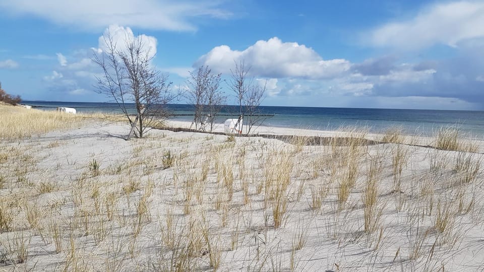 Vier Jahreszeiten 3 37 Apartment in Großenbrode