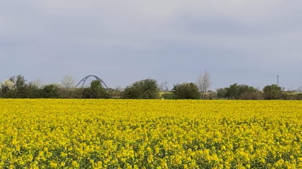Vier Jahreszeiten 3 37 Apartment in Großenbrode