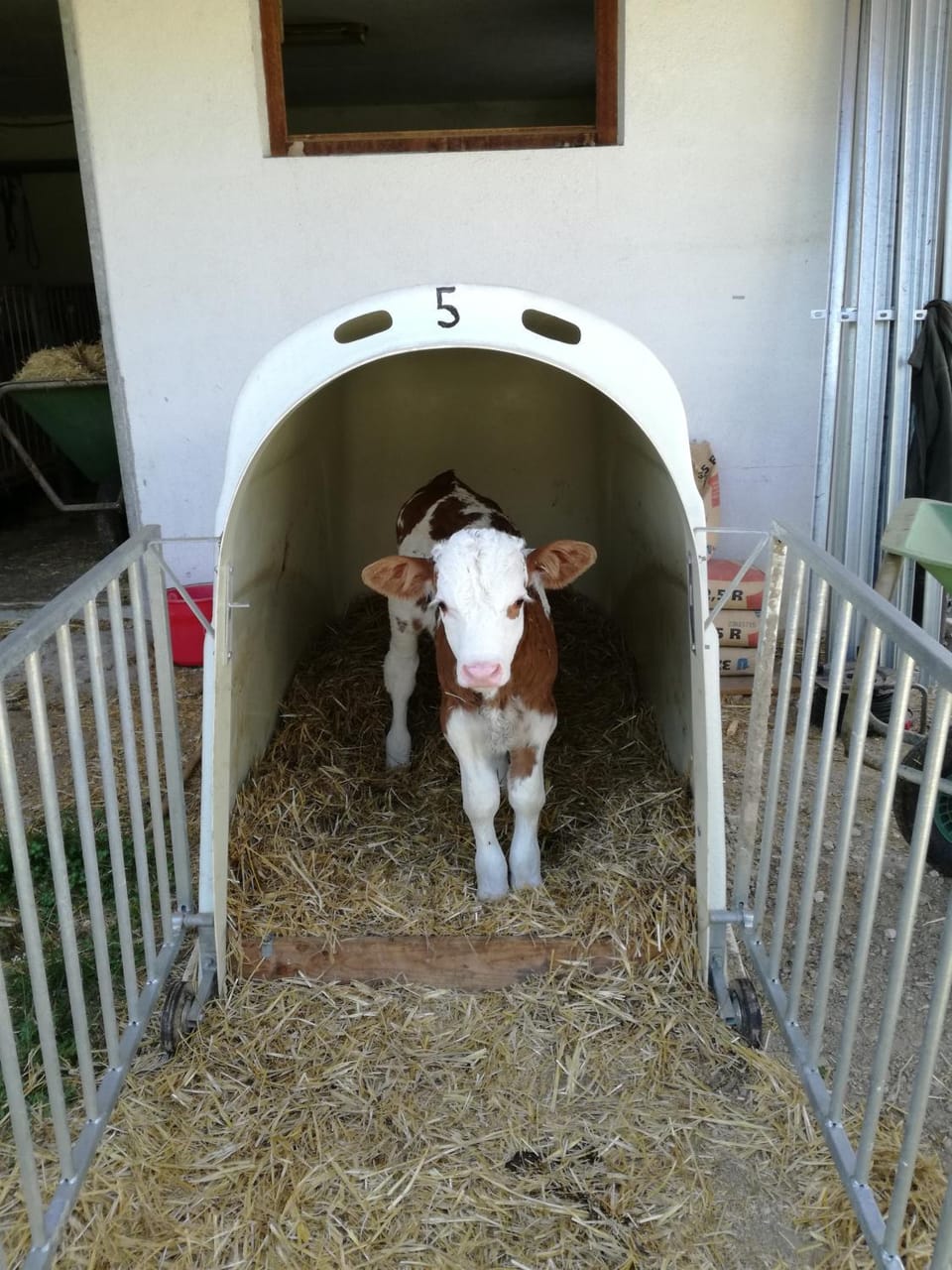 Bartlmairhof Farm Stay in Trentino-South Tyrol