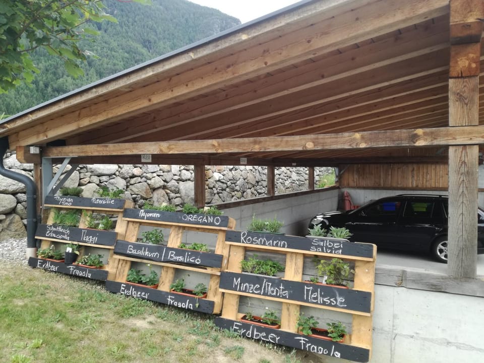 Bartlmairhof Farm Stay in Trentino-South Tyrol