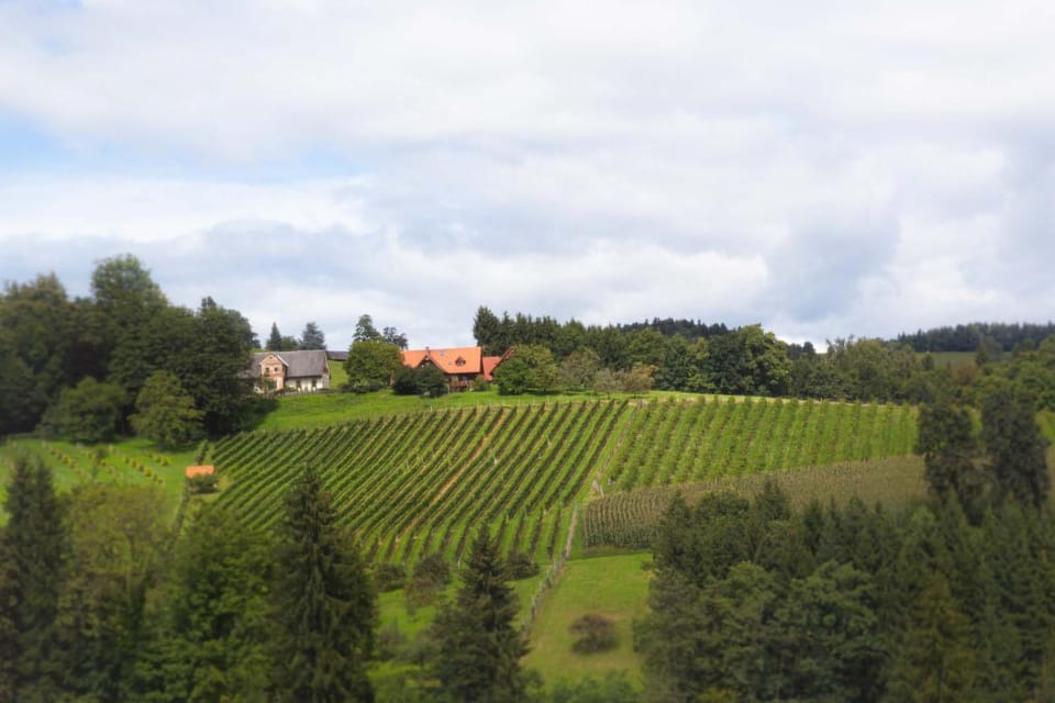Day, Natural landscape