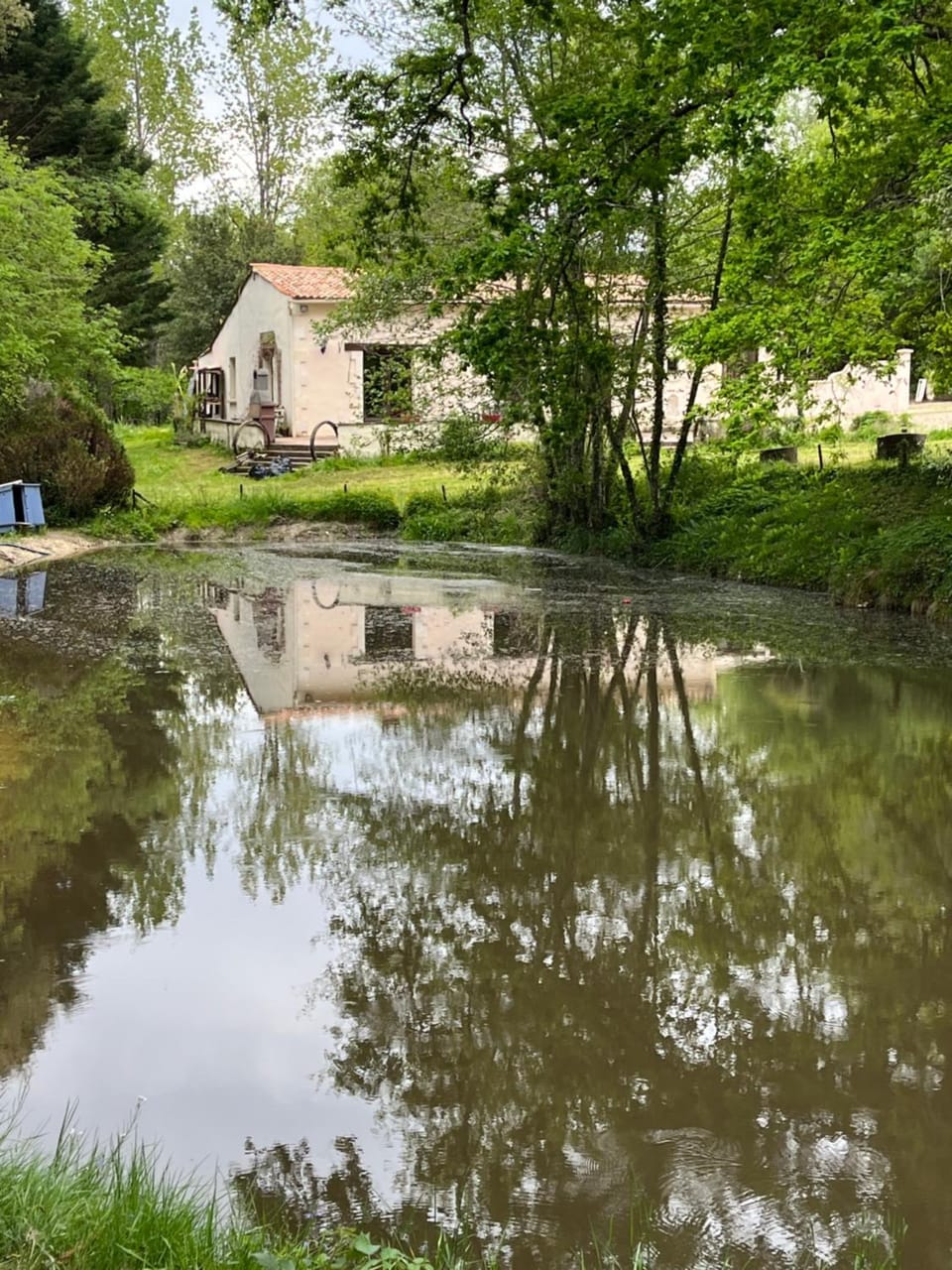 Lake view, River view