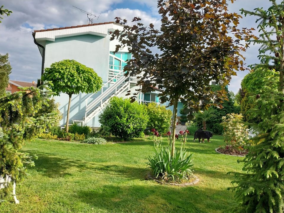 Cozy rooms in wine town - Modra Vacation rental in Bratislava Region, Slovakia
