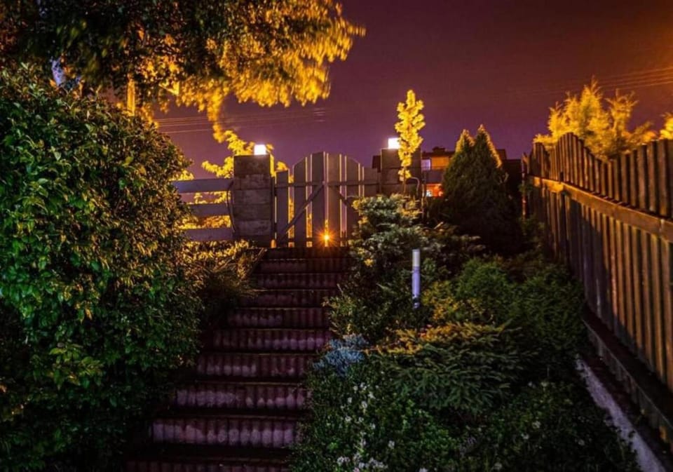 Night, Garden, Garden view