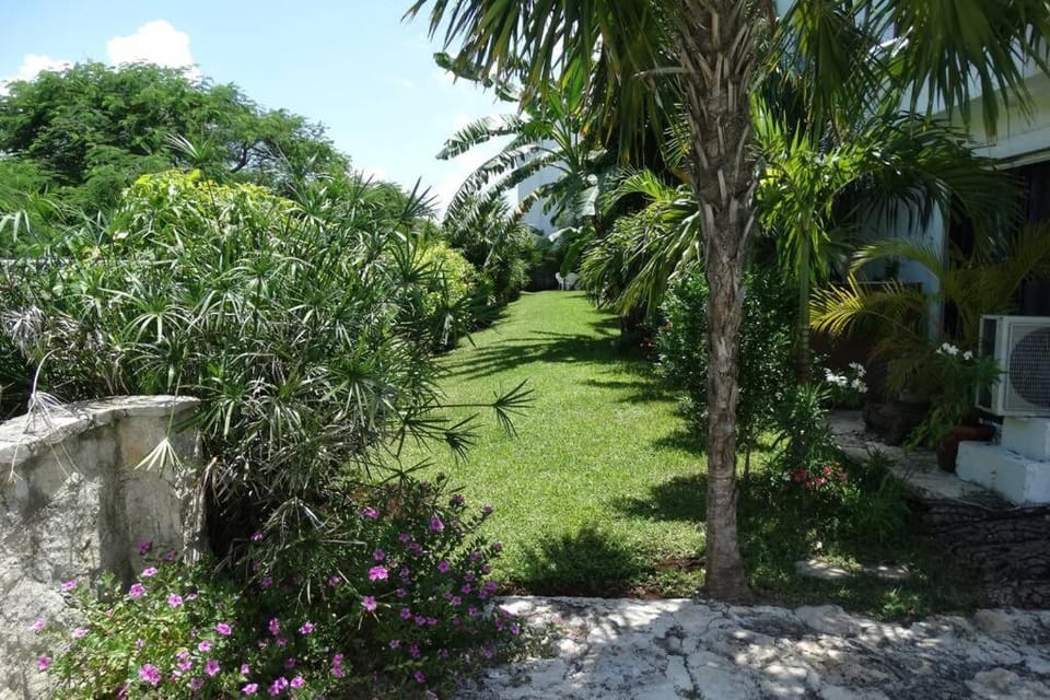 Sole & Mare by Andiani Travel Apartment in Cancun