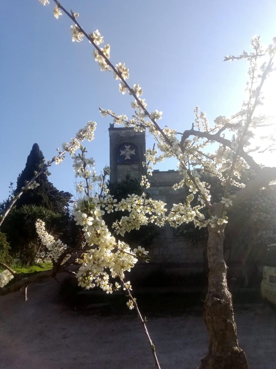 Property building, Spring, Garden view