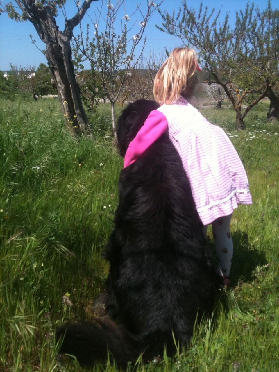 Spring, Day, Natural landscape, Animals, children