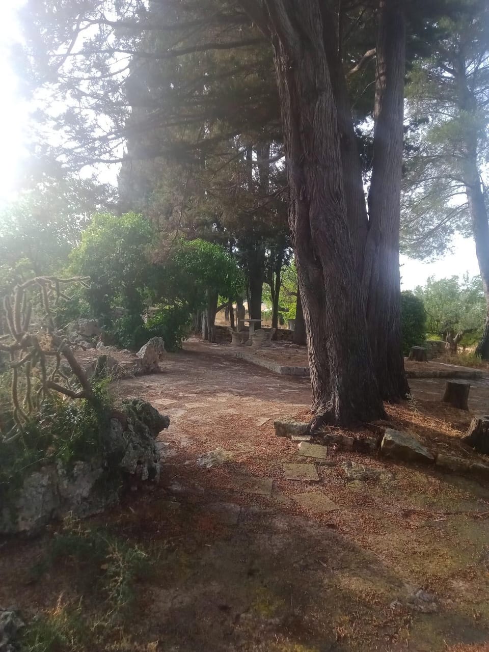 Day, Natural landscape, Garden view