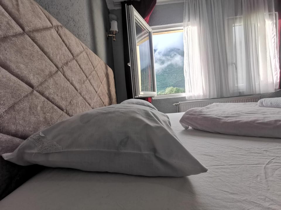 Hotel Rosi Hotel in Montenegro