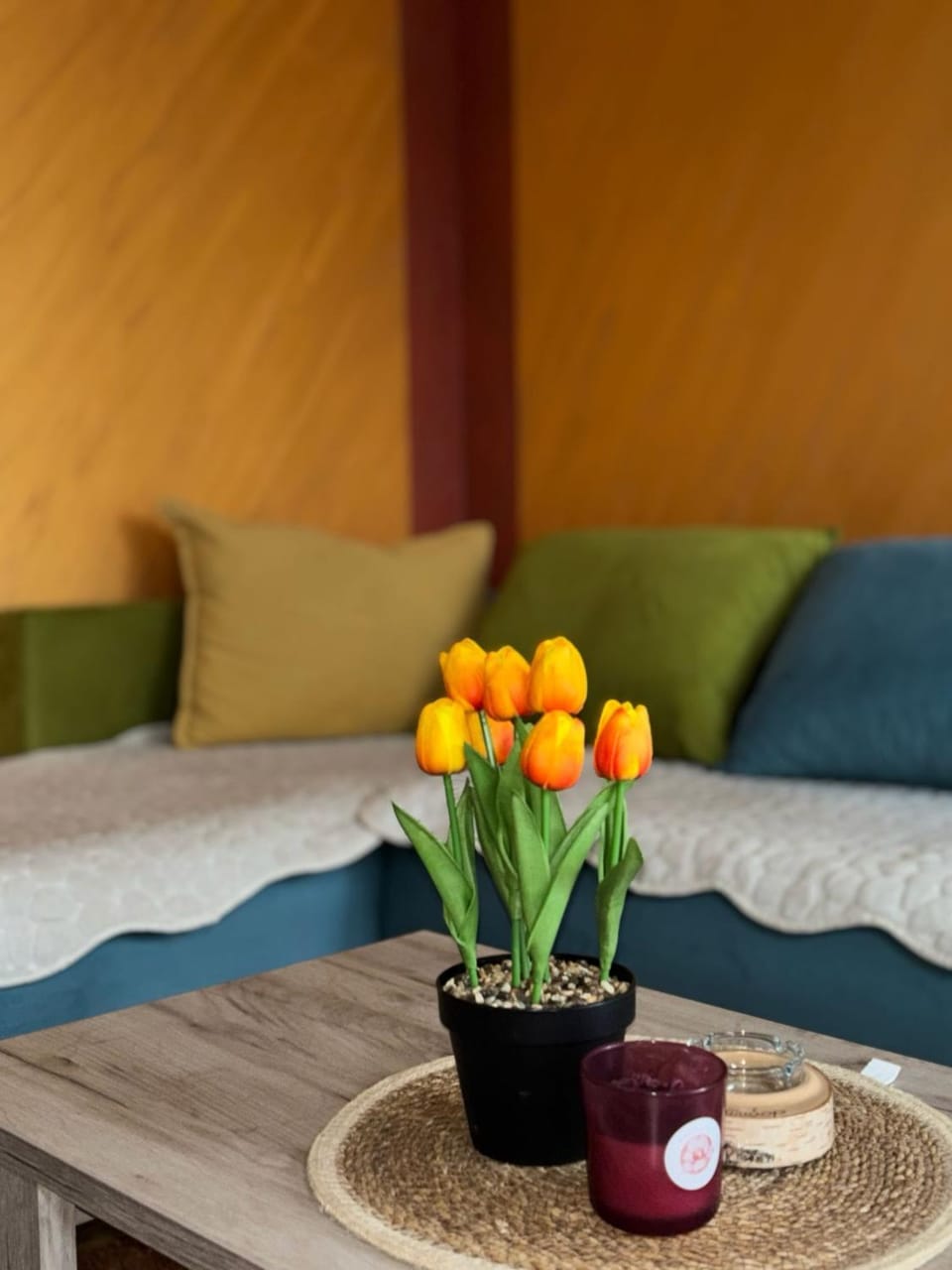Apartman Jevtic Zlatibor Apartment in Zlatibor