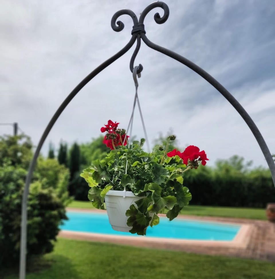 Garden, Swimming pool