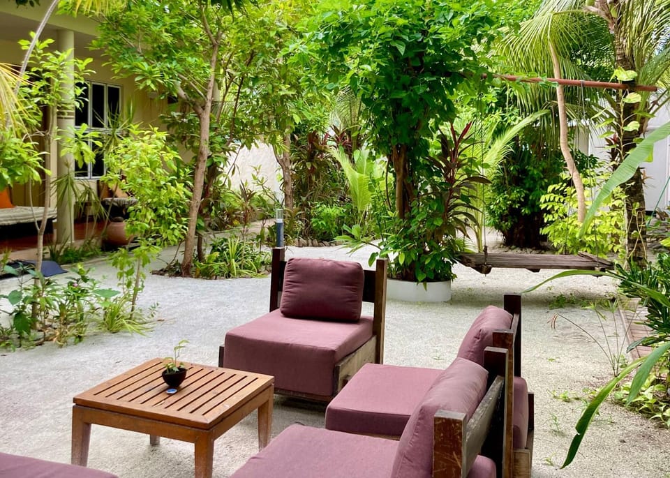 Garden, Garden, Seating area, Garden view