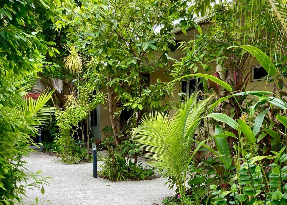 Natural landscape, Garden, Garden, Garden view
