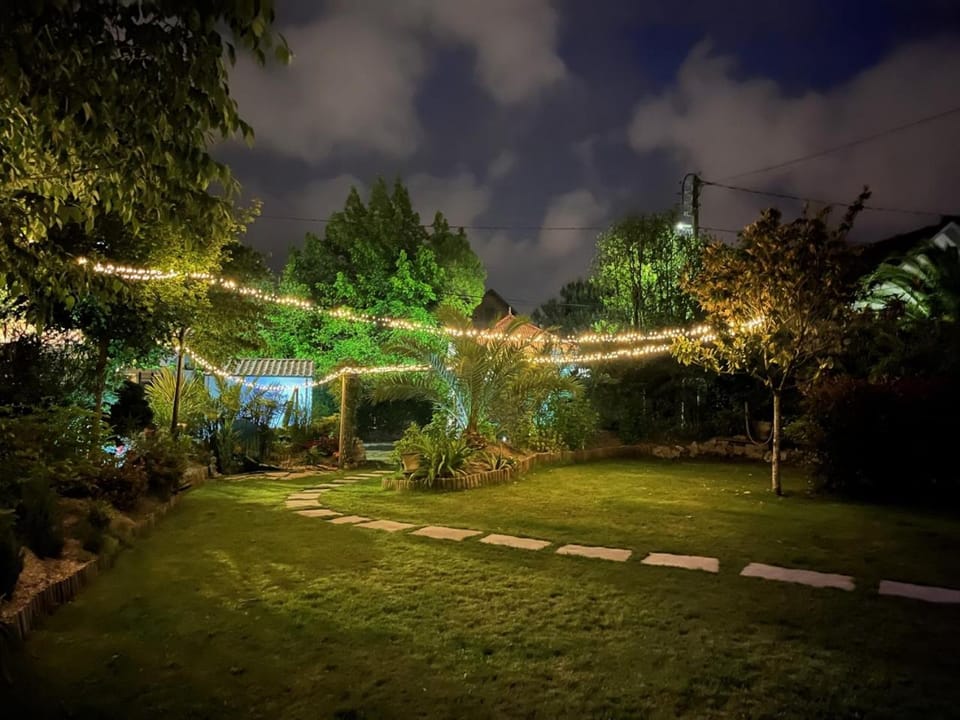 Spring, Night, Natural landscape, Garden, Garden, Garden view