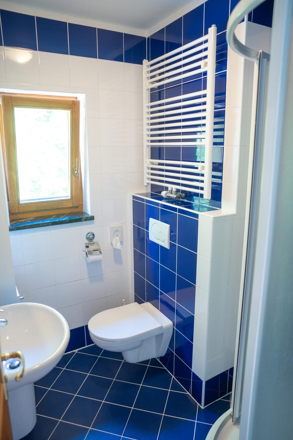 Havířská bouda Bed and Breakfast in Czechia