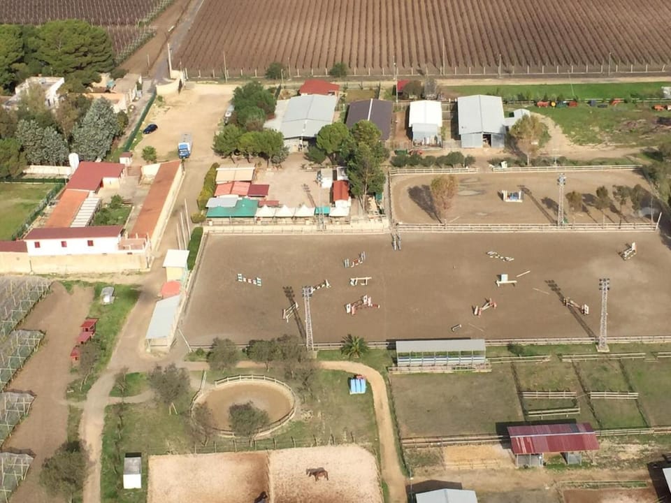 Bird's eye view, Horse-riding