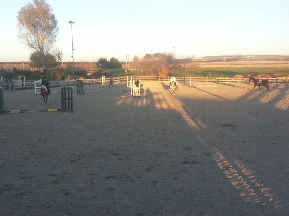 Horse-riding, View (from property/room)