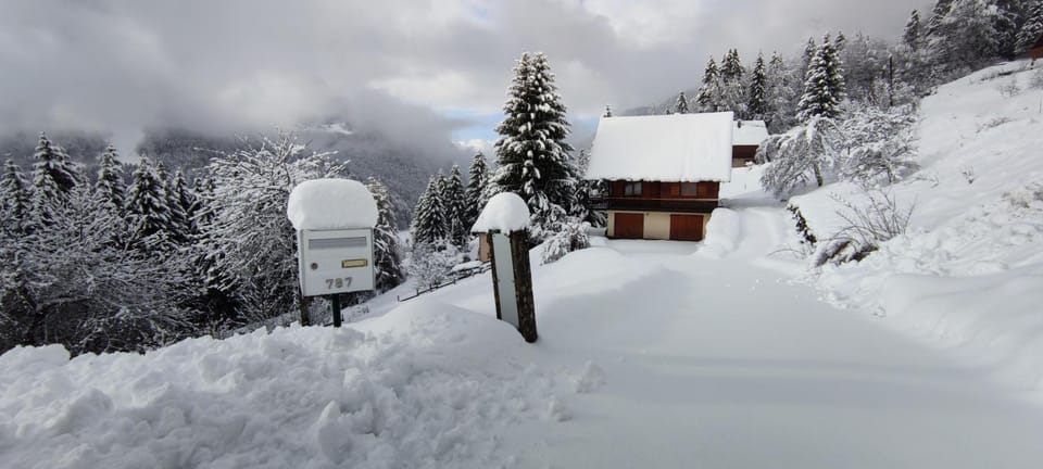 Chalet l'Alpe Chalet in Auvergne-Rhône-Alpes