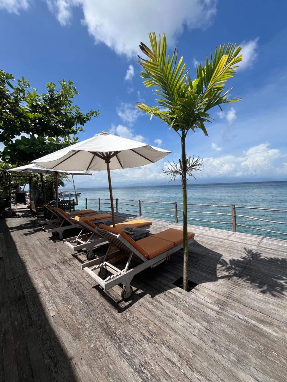 Balcony/Terrace, Sea view, sunbed