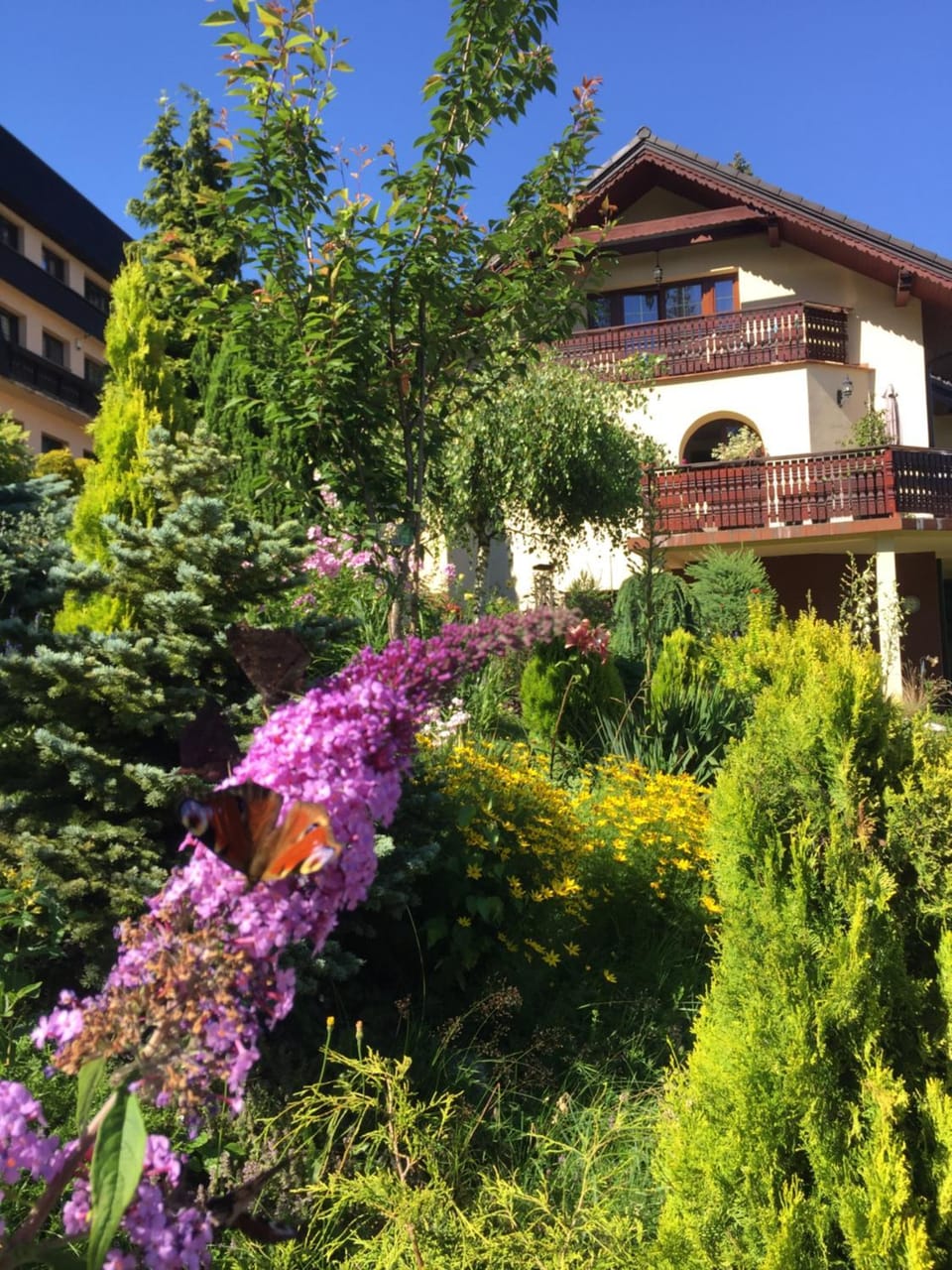 Property building, Spring, Garden view