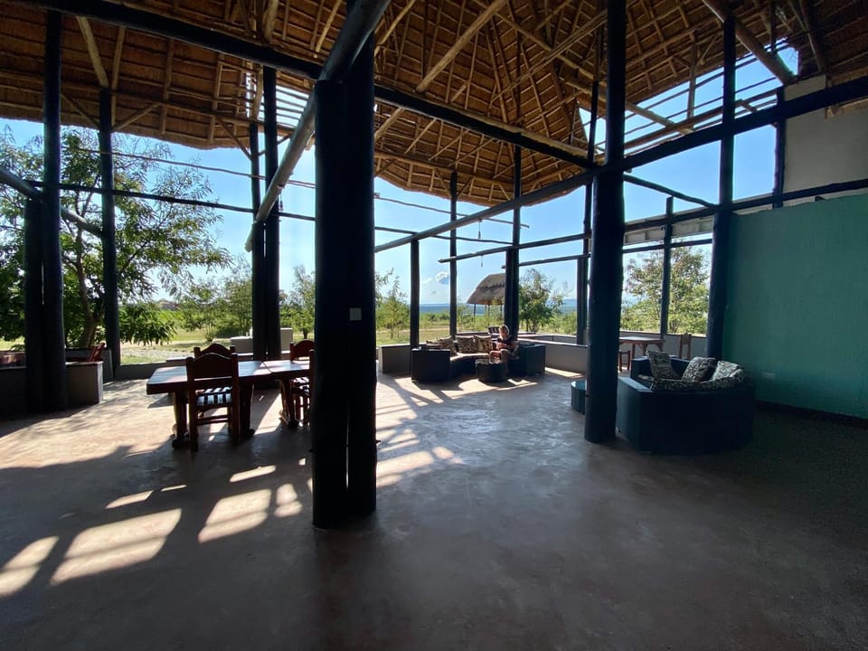 Lounge or bar