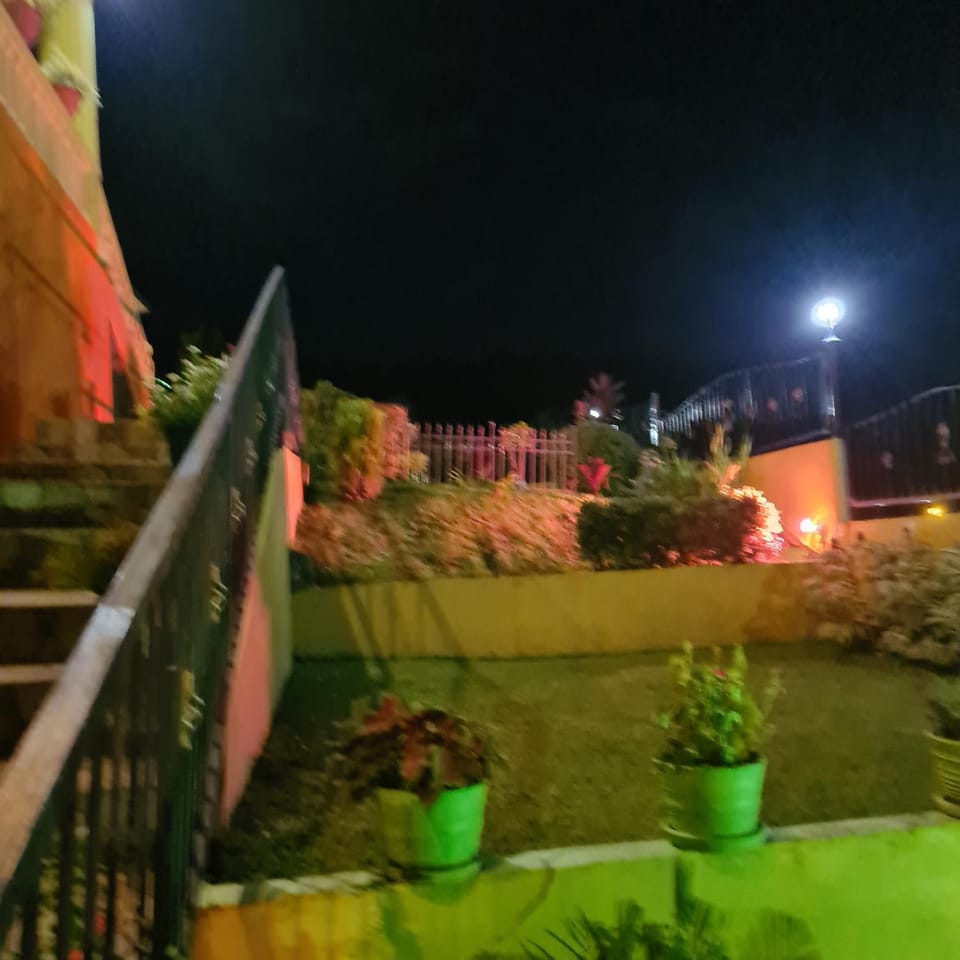 Property building, Night, Garden