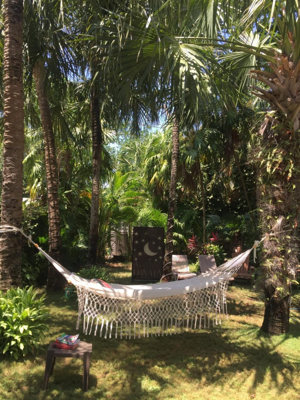 Garden view