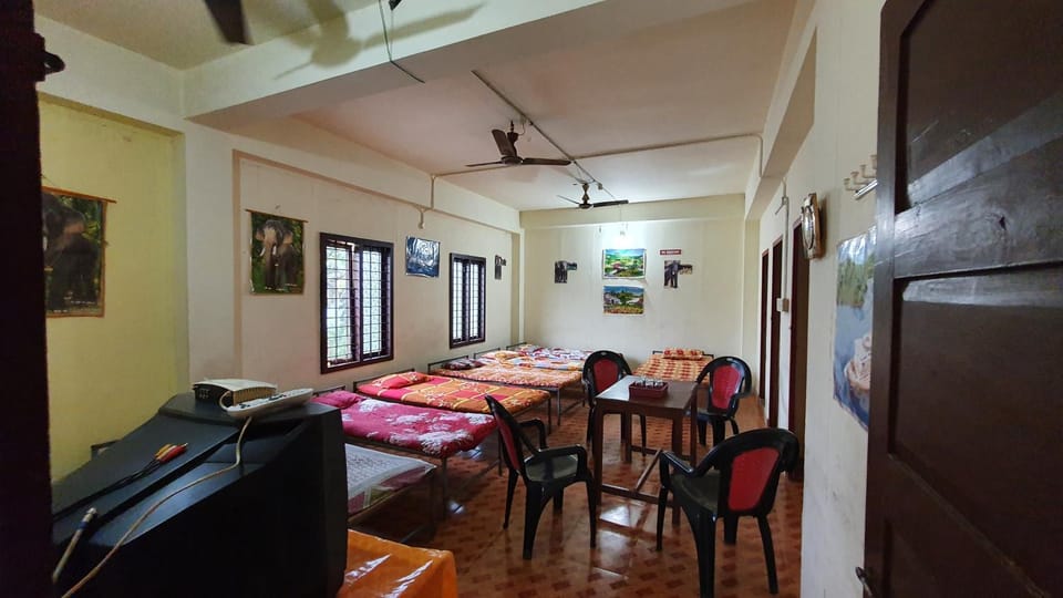 Bed, TV and multimedia, Bedroom, fireplace